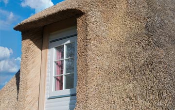 Horsedowns thatch roof disadvantages